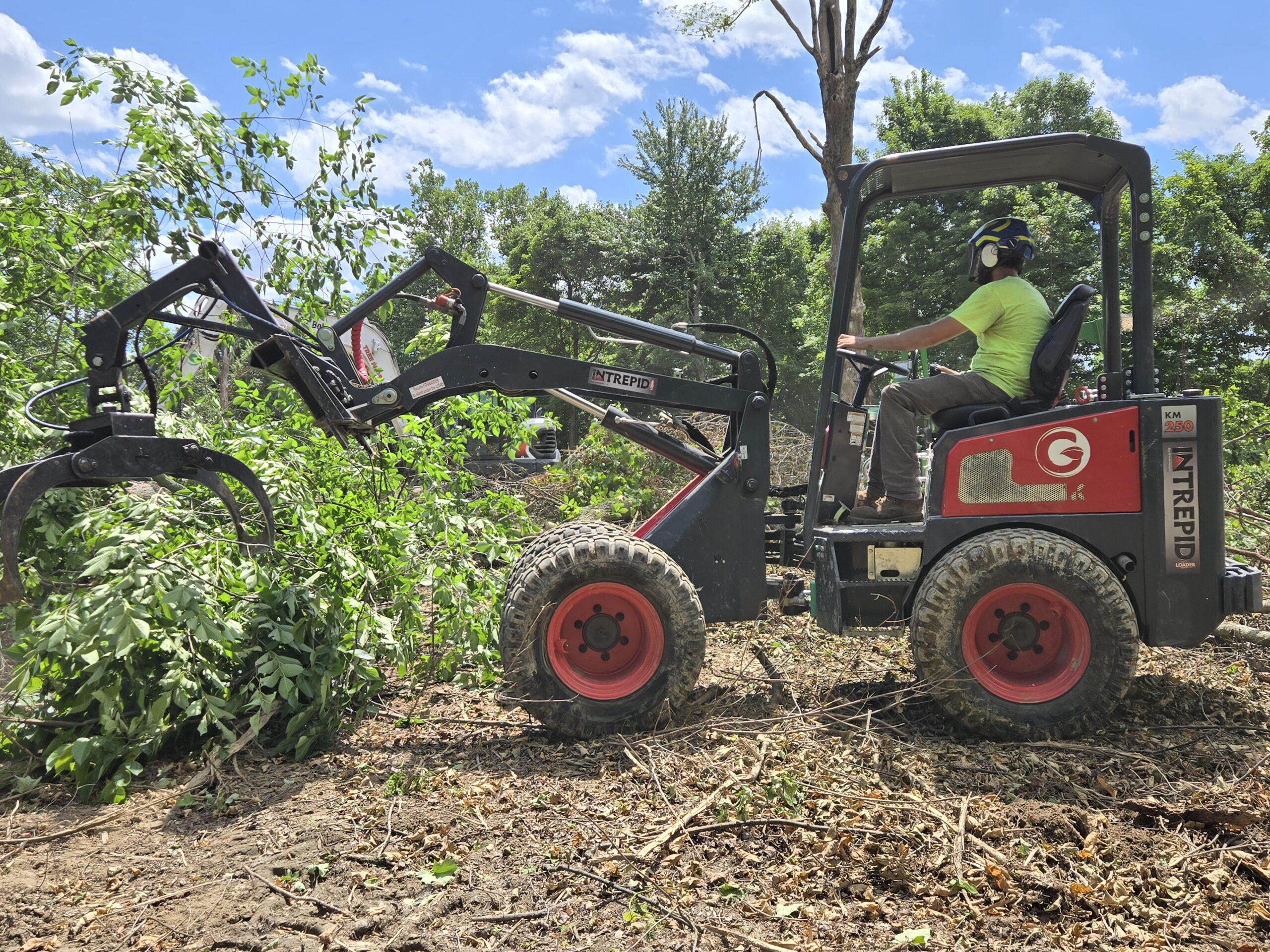 Intrepid Tele Compact Loader